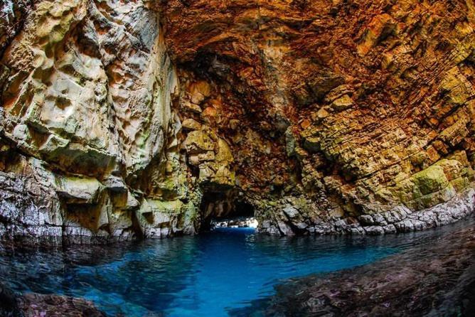 Villa Martinovic Dubrovnik Dış mekan fotoğraf