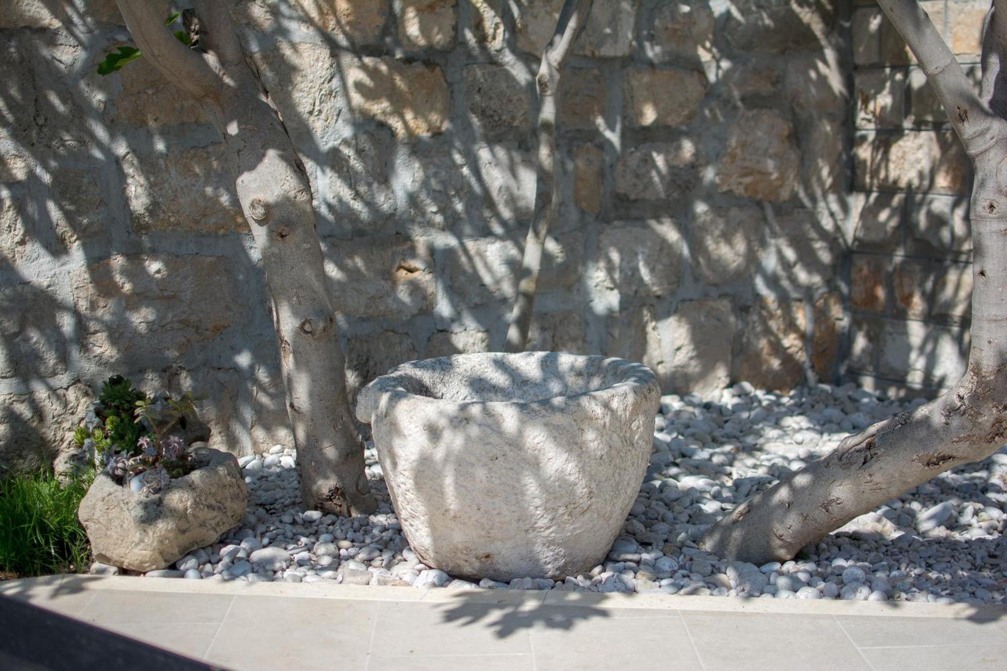 Villa Martinovic Dubrovnik Dış mekan fotoğraf