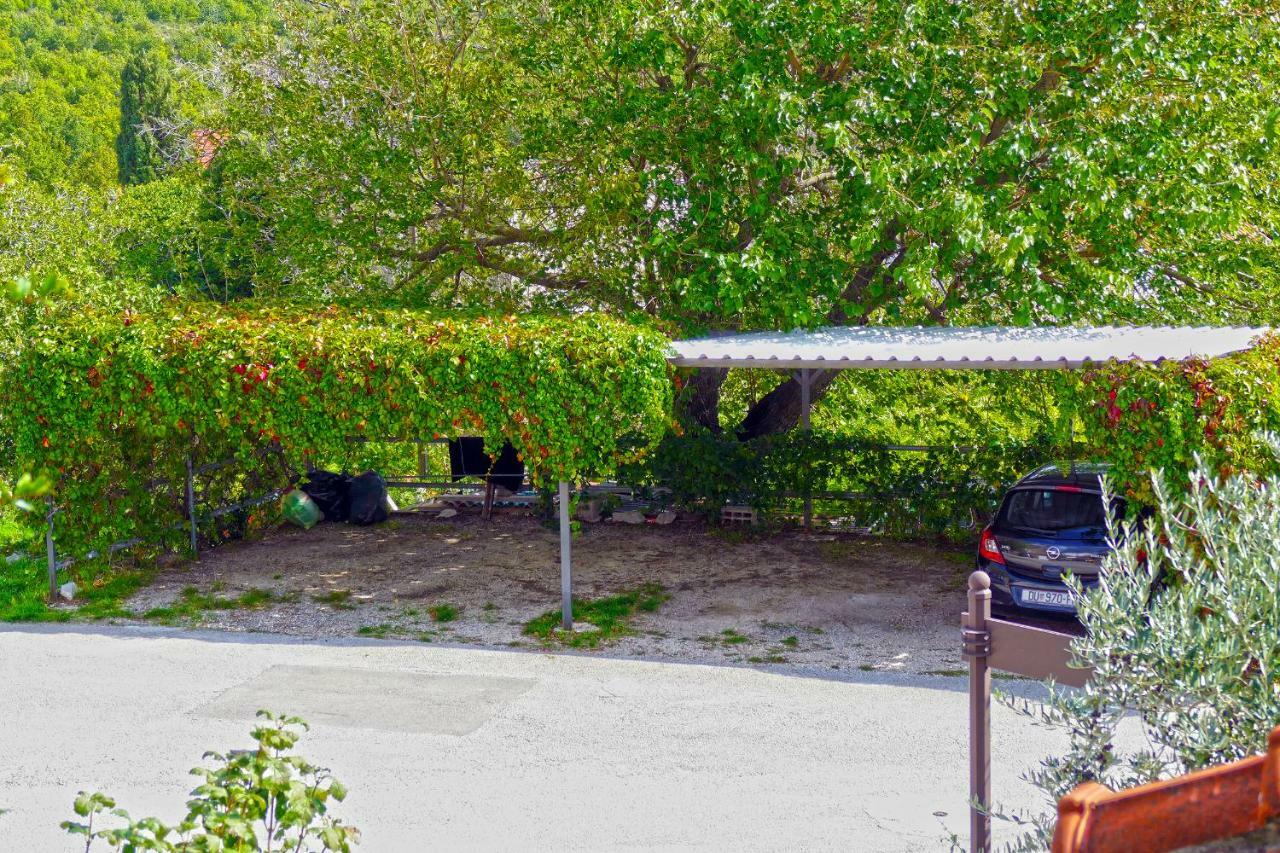 Villa Martinovic Dubrovnik Dış mekan fotoğraf
